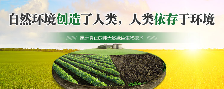 核心技術