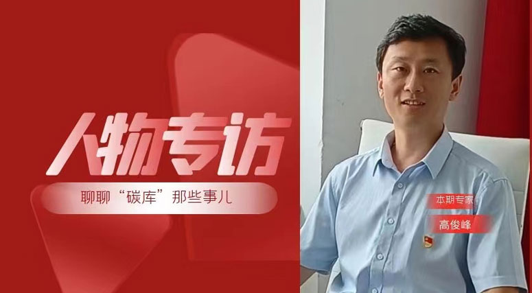 森林這個碳庫究竟有多大？生態(tài)修復(fù)碳匯造林的主戰(zhàn)場應(yīng)該在哪？