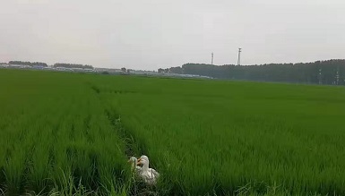3個月1.jpg